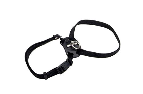Size Right Adjustable Harness Black 12 to 18 Inches Girth with a Width of 3/8 in.
