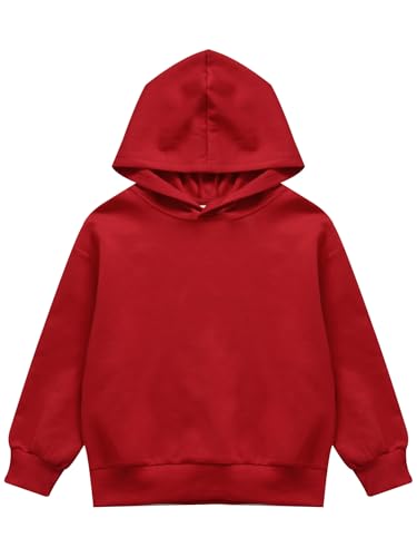 Kids Unisex Pullover Hoodie Shirt Lightweight Top Sweatshirt Long Sleeve Thermal Warmth Casual Outerwear3