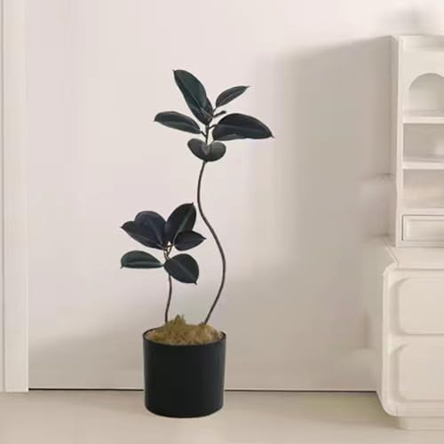 [LJKI] tFCNO[ ^ lHϗtA  L R { A  CeA lH A A160cm 傫 ze rO j JXj S̖ Ղ 蕨 v[g Mtg zj V