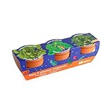triple plant pot  Radis et Capucine - Trio 3 pots - Plantes magiques à semer