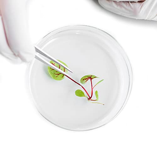 Sterile Plastic Petri Dishes With Lids, 50 Pack 90 X 15Mm Clear Sterile Container, Petri Plates For Lab Experiment, Microbiology Studies, School Science Projects #TOP7