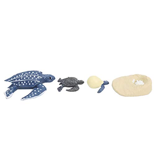Aqur2020 Marine Animal Model Set, Sea Turtle Life Cycle, Educational STEM Learning Toy, 4 Pieces