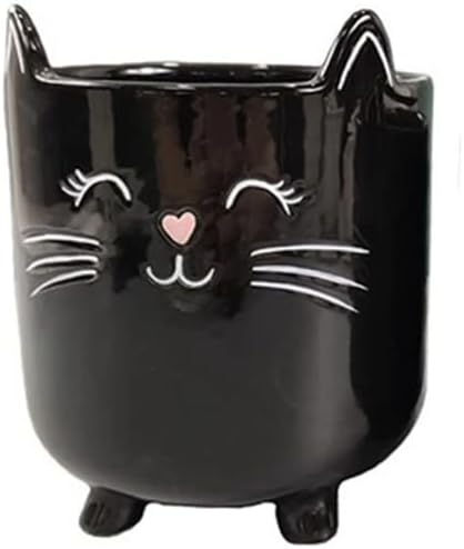 Ceramic Black Cat Planter with Saucer, Adorable Decor for Indoor and Outdoor Plants