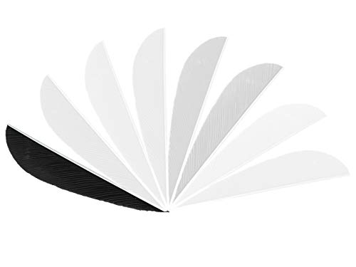 Gateway Parabolic Feathers Black 4 in. RW 100 pk.