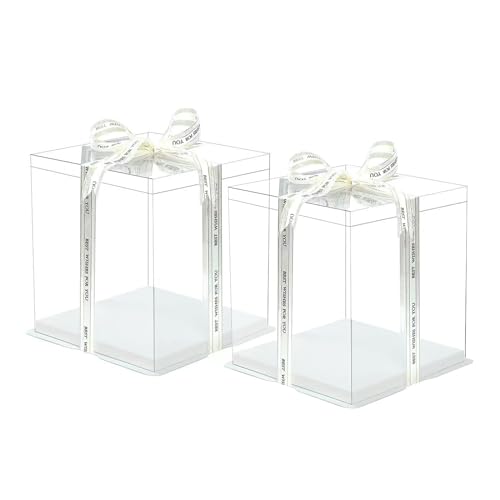 DYOUen 2PCS Transparente Tortenschachtel Kuchenbeh&aumllter Dessert Cake Box Kunststoff Doppelschicht Tortentransportbox Weihnachten Geschenk kuchenbox Geschenkbox