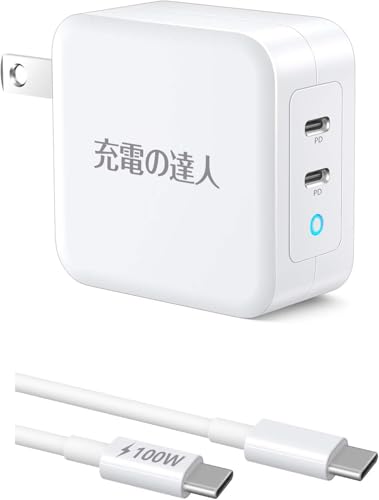ランラン スーパードッグ　100w急速充電器　純正品 ランラン様専用 スーパードッグ 100w急速充電器 純正品