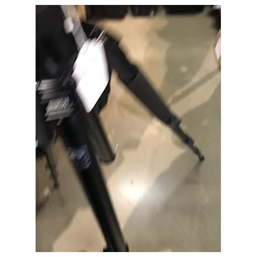 Canon EF 500mm f/4L II Telephoto Lens