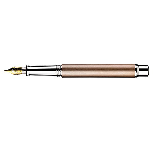 Otto Hutt Design 04 028-61970 - Penna stilografica con rivestimento platino di alta qualità, colore: sabbia opaca, pennino F
