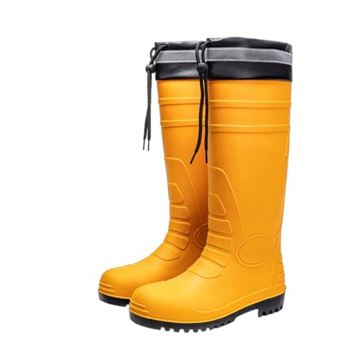 [CTN] CV[Y Y y N OV[Y  Cu[c JC h C 傫TCY ~J΍ fUC04-h[R[h 25.5 cm 䕗 ʋ ʊw Jp _Ɨp