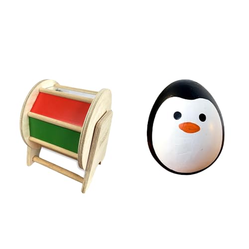 Image of Educational Toys Set | Rainbow Spinning Wheel & Balancing Wobbler | Kids Developmental Toys | Montessori-Inspired | Promotes Gross Motor Skills & Cognitive Growth