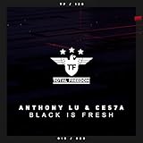 Total Freedom Recordings