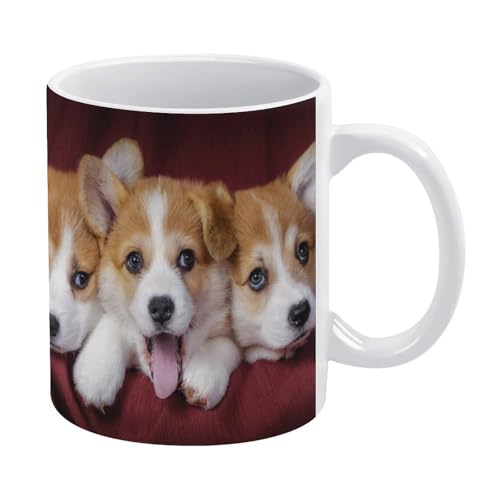 R[M[ q   }OJbv   킢 yMtg R[q[Jbv Z~bN Z~bN}OJbv ڈpR[q[Jbv y a v[g 330ml