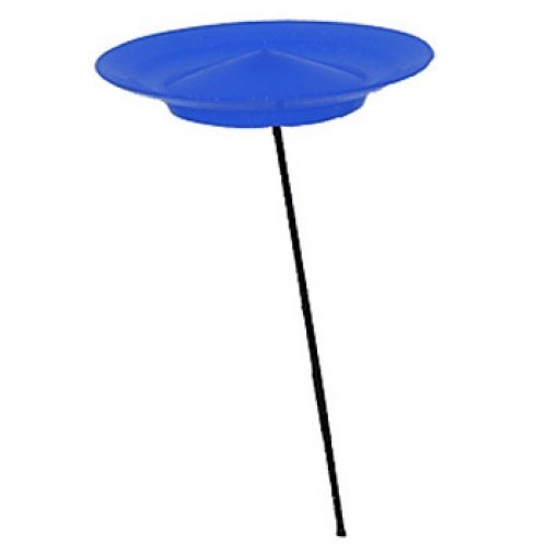 Best Spinning Plates On A Stick