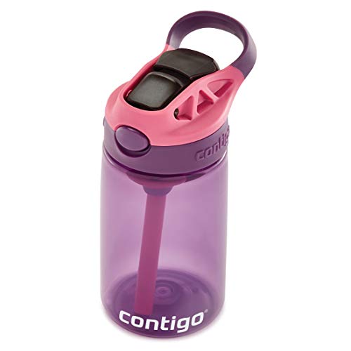 Image of Contigo Kids Straw Water Bottle with AUTOSPOUT Lid, 14oz, Eggplant