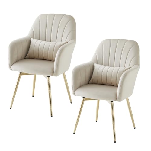 ASHEL WFX ] _CjO`FA y2rZbgz xA r It NbVt `FA ItBX`FA ؍ CeA 킢 AVF (2rZbg, ex[W)