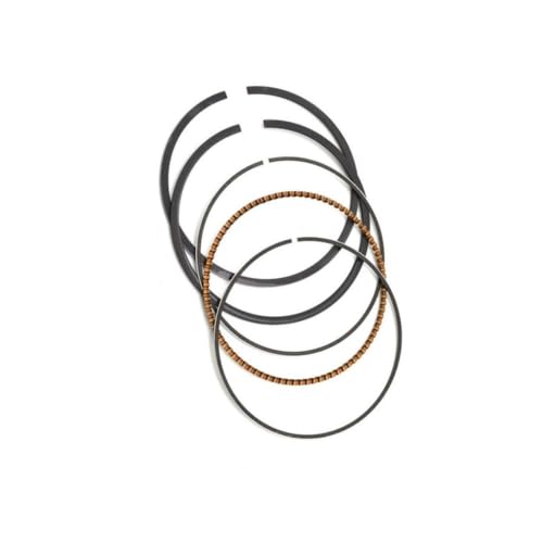 Segments de piston 49mm : resolvez les problemes de compression ZR250 - 2