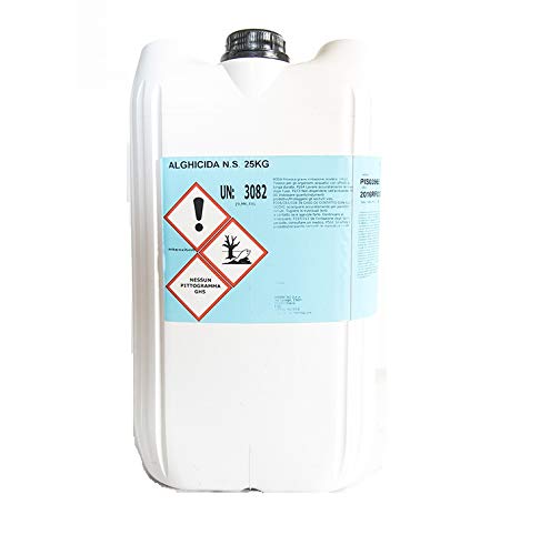 Antialghe 25 Lt Non schiumogeno Pulizia Acqua Piscina alghicida