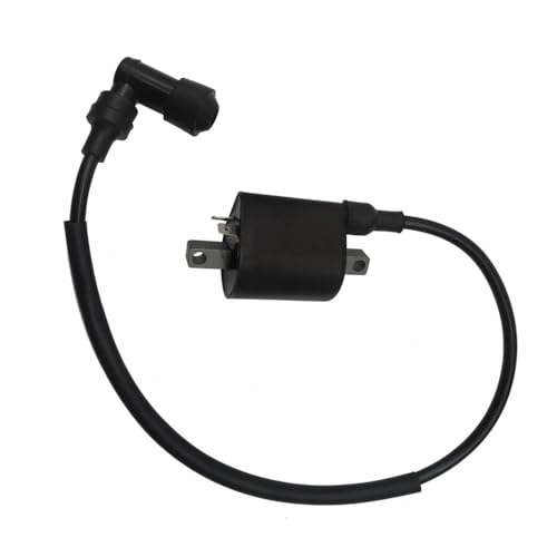 Bobina de encendido con cable de alta tensión para quad y UTV de 400 y 500 cc