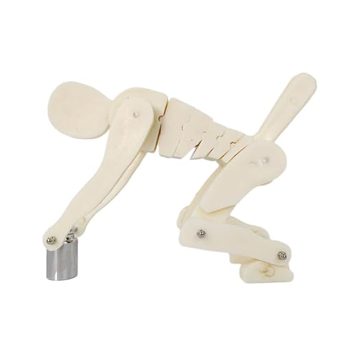 Modelo Pro Correct Lifting para demostración de postura correcta en ejercicios y levantamiento de cargas, con base, entrenador interactivo de postura corporal y columna lumbar para biomecánica y anatomía miniatura 5