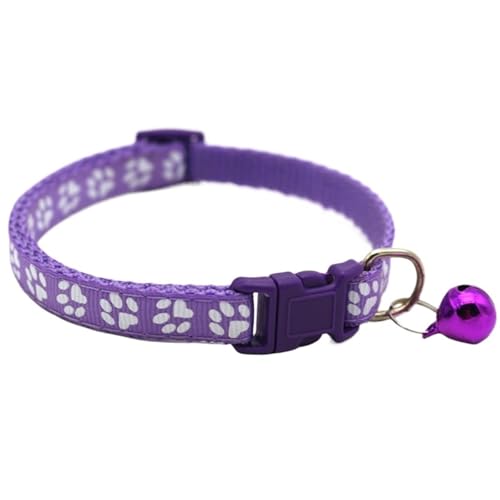 xtLp - qEqLp߉\ȃlbNX ?(Color2)