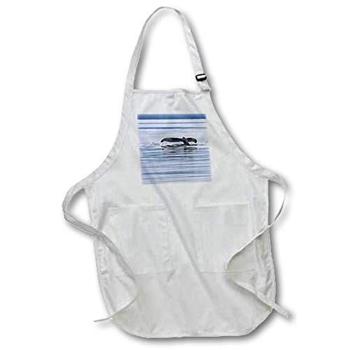 BLACK Full Length Apron with Pockets 22w x 30l - USA, Alaska, Chatham Strait. Humpback whale diving. Whales