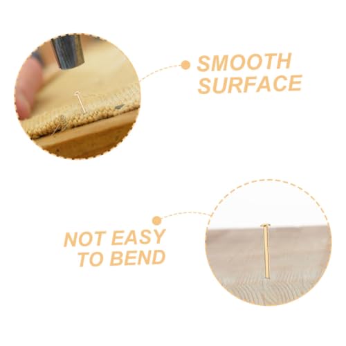 Holibanna 200Pcs Clavos de Cobre para Muebles Metálicos Confiables para Proyectos de Bricolaje, Colgado de Fotos y Carpintería para Hogar, Oficina y Manualidades miniatura 4