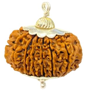 BluDiamond 15 Mukhi Rudraksha Nepal 15 मुखी रुद्राक्ष 28mm 15 Face Rudraksha Brown Beads Pendent Fifteen Mukhi Rudraksh पंद्रह मुखी रुद्राक्ष Original Certified Blessing Pashupati For Locket-image-19