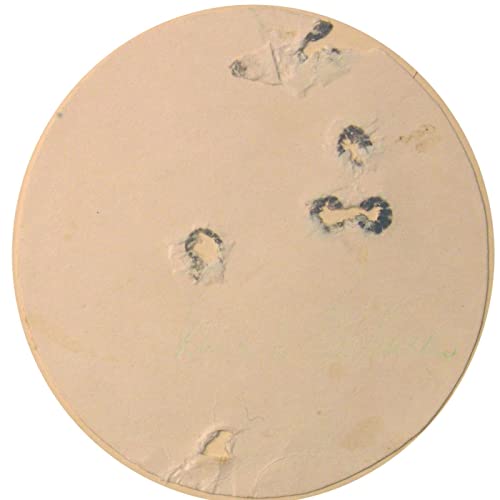 Statens b&oslash;dler (2:2)