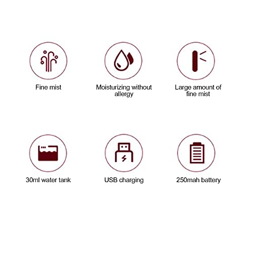 Gesichtsmister Nano Spray, Mini Handliche Feuchtigkeitsspray Mister Gesichtsdampfer Nebel Schönheit für Gesicht täglich Make up Hautpflege Mist Sprühgerät USB Handliche 30ml