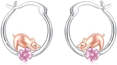 925 Sterling Silver Hypoallergenic Earrings Hoop Earrings Leverback earrings Gift for Women Girls Kids