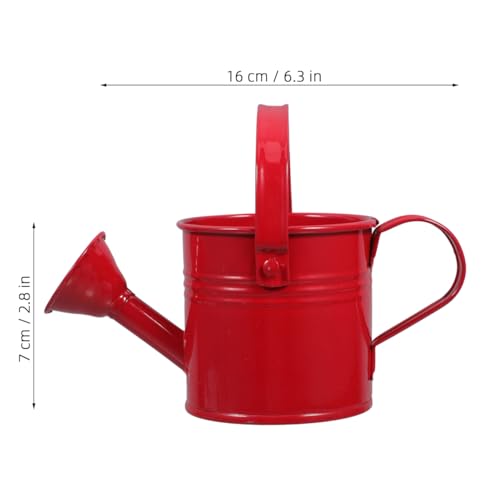 Image of DOITOOL 2 Pack Kids Metal Watering Can for Gardening, Small Iron Watering Can Set for Indoor Outdoor Plants, Mini Toddler Water Pot for Succulents Houseplants Bonsai (Blue, Red)
