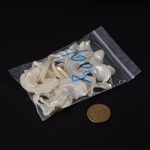 Image of 100 grams Small Tumbled Chips Polished Crushed Stone Crystal Healing Embellishments