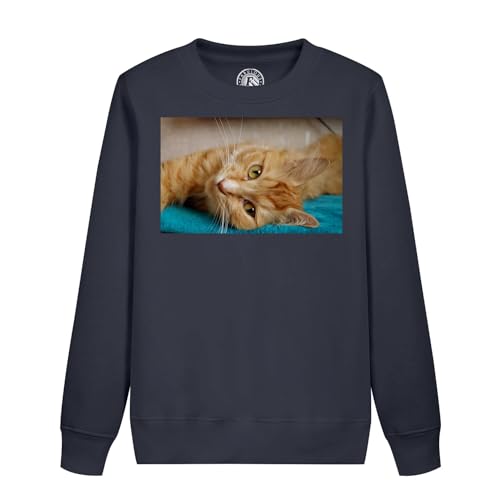Sweatshirt enfant chat roux pour garçon et fille avec imprimé animalier mignon