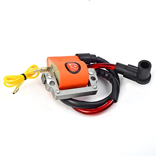 Moto1988 Igniter Cdi And Ignition Coil & Spark Plug For Yamaha G1 Gas 2 Cycle Golf Car Cart 1979-1986 J10-85540-20-00 355-82310 #TOP1