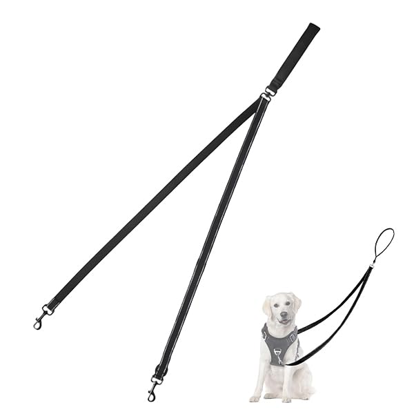 Dog Leads for Large Dogs Black Dog Leads for Medium Dogs Strong Double Ended Lead with Reflective Design Heavy Duty No Pull Training Leash for Medium to Large Puppy Walks Easy to Use