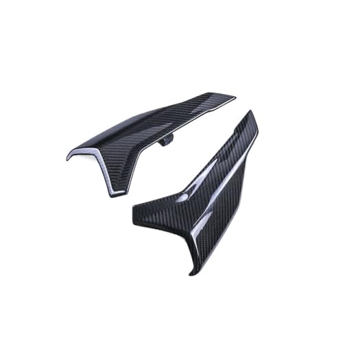 Carénage arrière en fibre de carbone véritable pour S1000R et M1000R