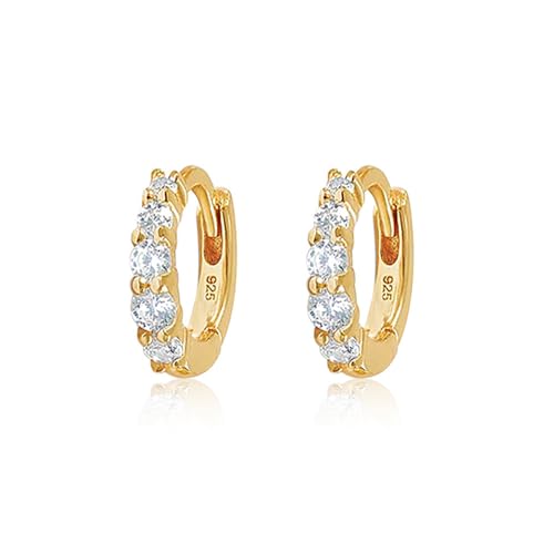 Boucles d'oreilles hypoallergéniques en argent 925 pour oreilles sensibles