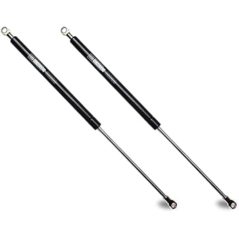 Beneges 2PC Gas Charged Lift Supports Cover