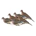 Avery Hunting Gear Mourning Doves (1/2 Dozen)