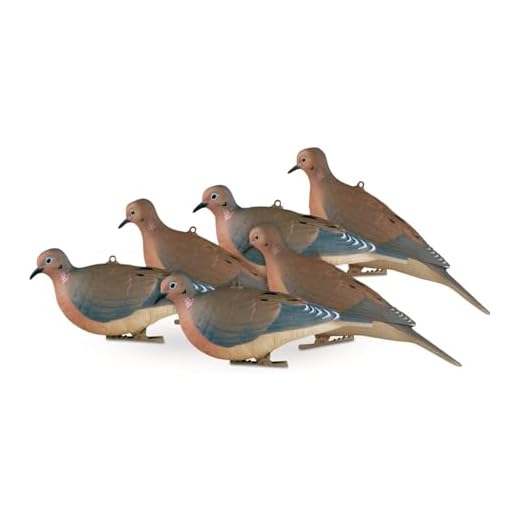 Avery Mourning Doves (1/2 Dozen)