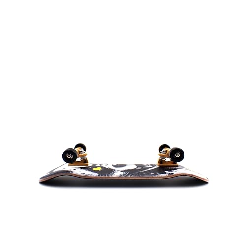 SPITBOARDS® 36 x 96 mm Wood Fingerboard Complete Set-Up, Pre Assembled, 5-Layers Wood, Pro Trucks with Lock Nuts, CNC Bearing Wheels, Real Wear Graphics, Lasered Foam Grip Tape, Hungry Panda