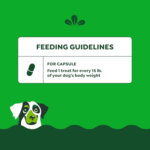 Greenies Pill Pockets Large Size Dog Treats, Peanut Butter, 7.9 oz, 6-Pack - image 7