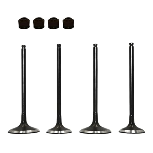 Xuanqingyi Store 2 Paar Offroad-Motorrad-Motorteile Einlass- und Auslassventilschaftdichtungssatz kompatibel mit Suz*uki RMZ250 RM-Z250 Ventile