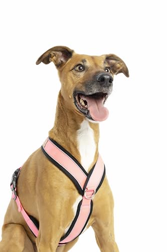 Reflektierendes Hundegeschirr in Y-Form, ideal für Lebreles: Italienischer Windhund, Whippet, Windhund, Podenco - sicher, atmungsaktiv und langlebig, perfekt zum Wandern, Training und Laufen, Rosa, S