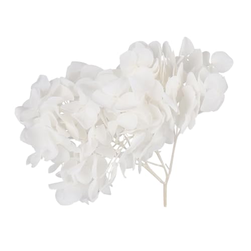 Hojas de Hortensia Secas Naturales para Decoración 16x15.5x9 cm