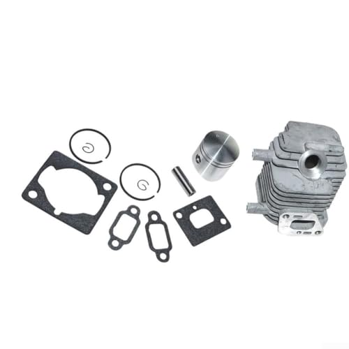 Cylindre Echo TC-2100 contre les pertes de puissance moteur