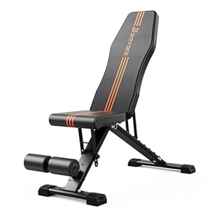 800LBS Adjustable Weight Bench – Foldable Workout Bench Press with 20.5” Extended Base for Home Gym, Folding Decline Incline Strength Training Bench for Full Body Exercise – 2025 Version