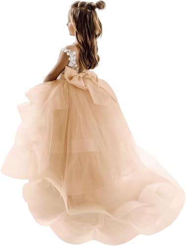 Tiered Tulle Flower Girl Dress for Wedding Princess Appliques Pageant Dress Kid's Floor-Length Party Gown with Train
