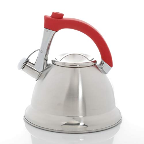 Best Mr Coffee Tea Kettle 2024 Where to Buy?