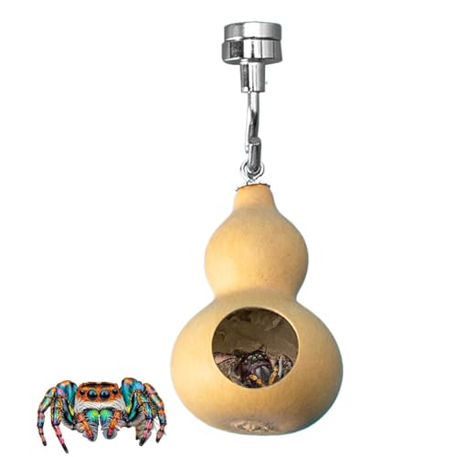 ハエトリグモの皮、ハエトリグモの安全なホーム、磁気クモの皮、天然クモのシェルター、磁気付きハエトリグモの隠れ巣、天然ひょうたんハエトリグモ用のハエトリグモの囲い